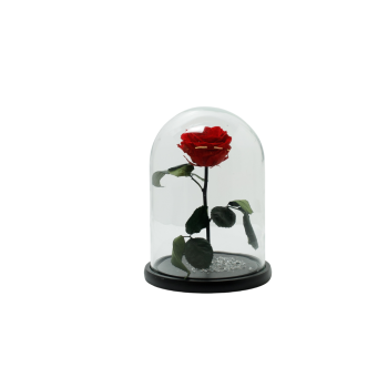 Beauty And The Beast  Red Rose Large Campana
